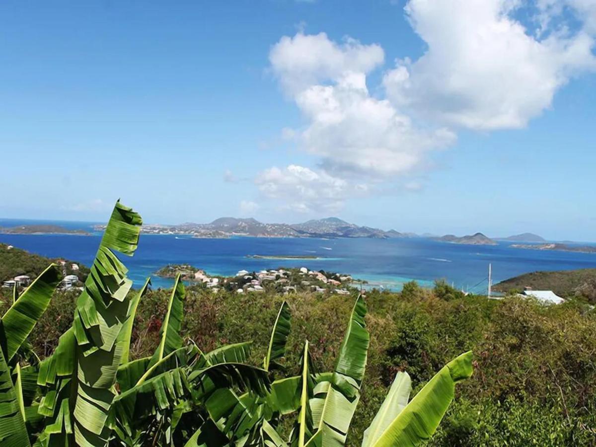 Serene Cruz Bay Villa Sep Mstr Kg Suite Stunning Sunsets Екстериор снимка